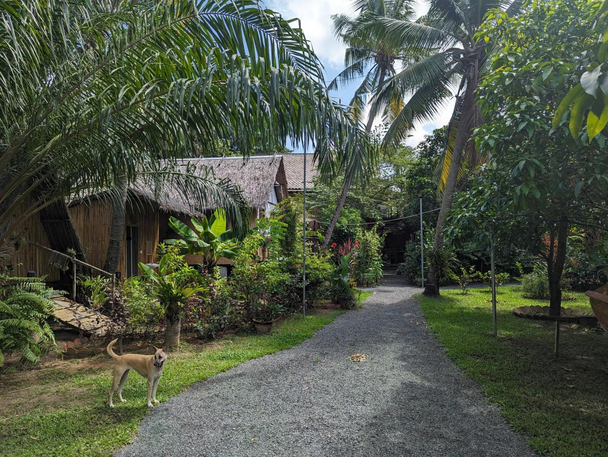 Nary Garden * Kampot